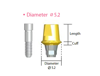 Cementerbara distanser NeoBiotech IS implant
