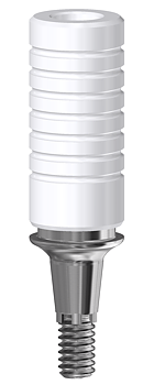 CoCr Base Internal ANK