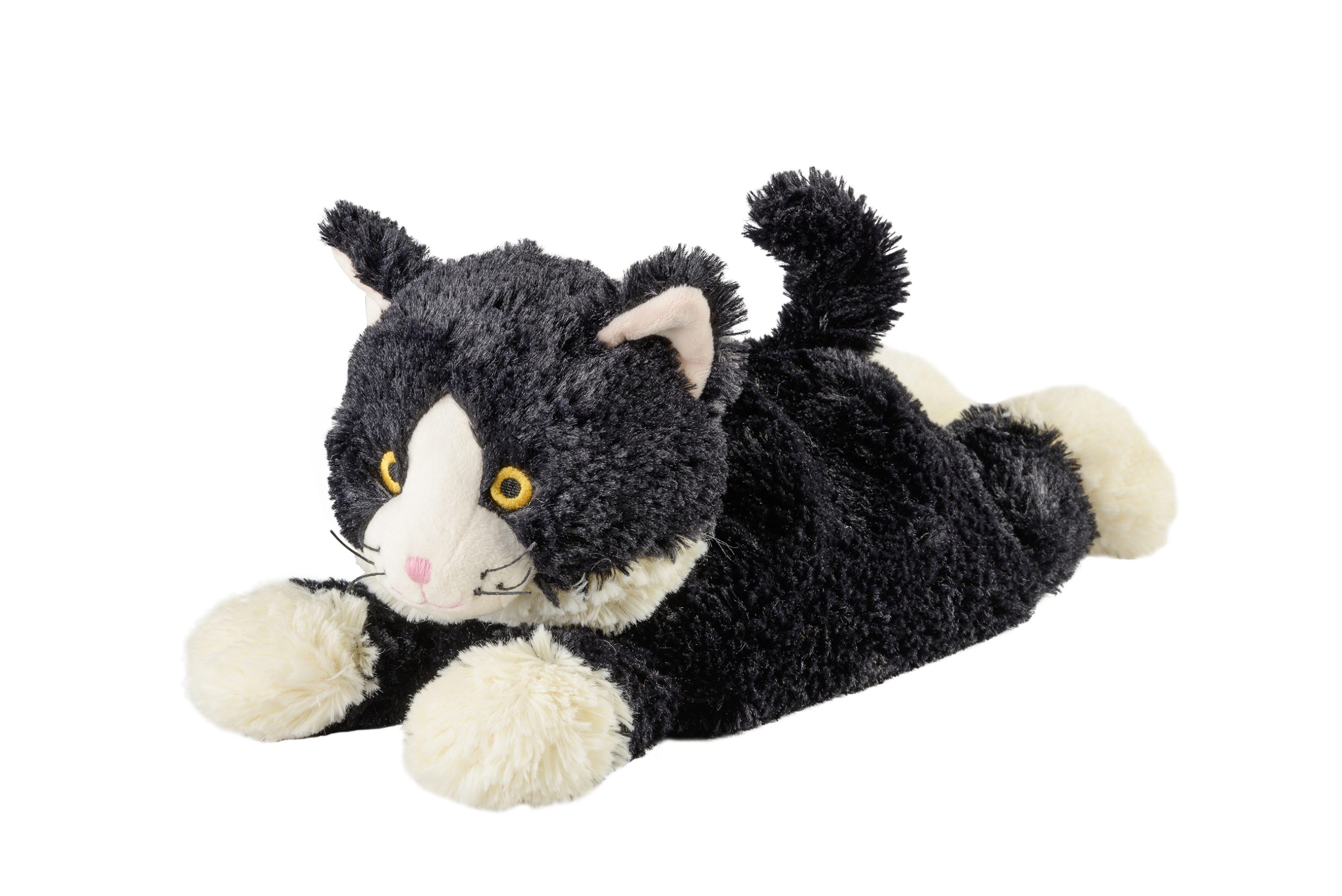 Liggandes Katt