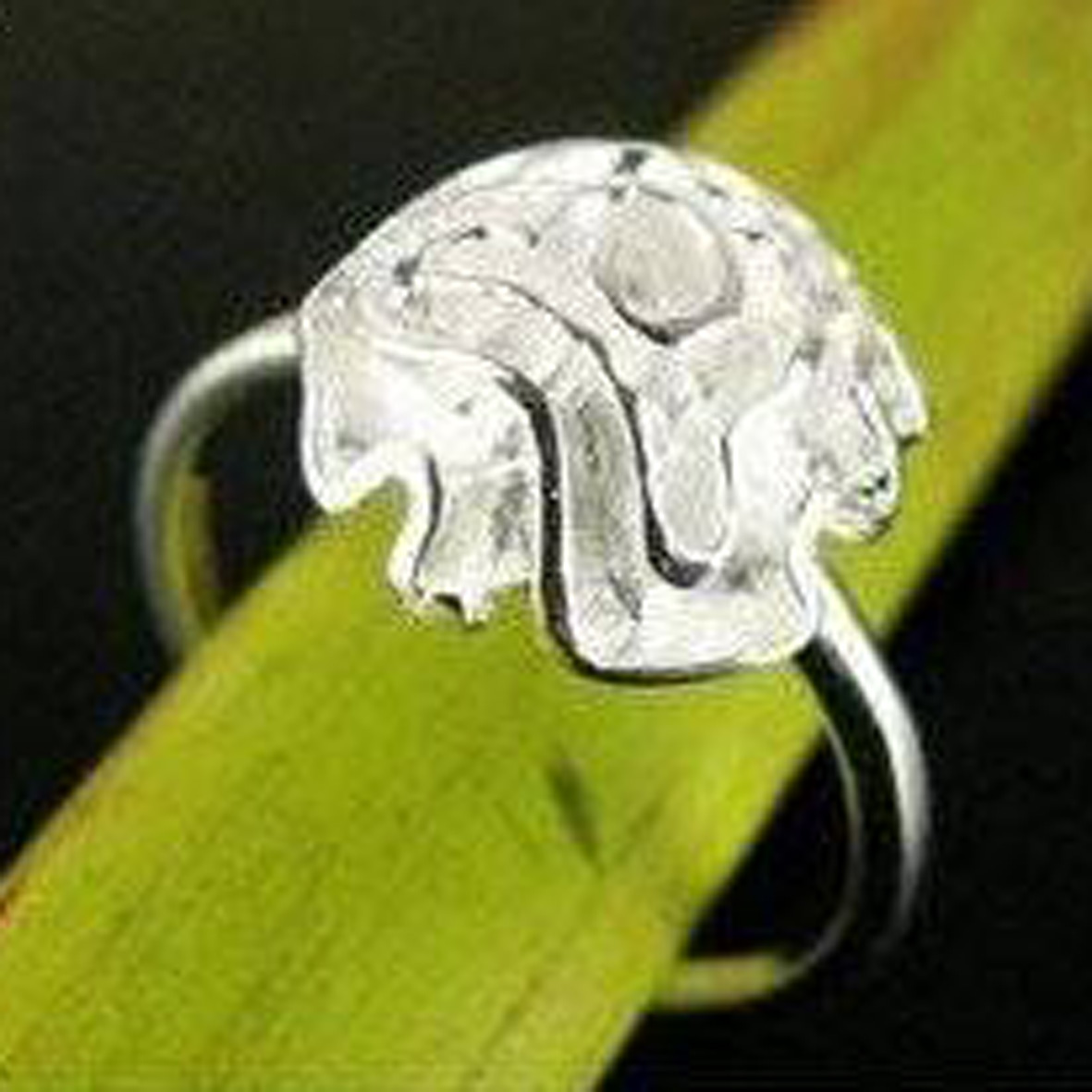 Ring "Silverros" i 925 Sterling Silverplätering - 4