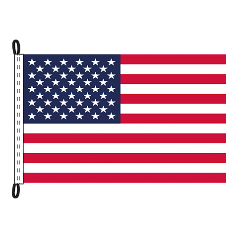 Gästflagga USA 30x19 cm