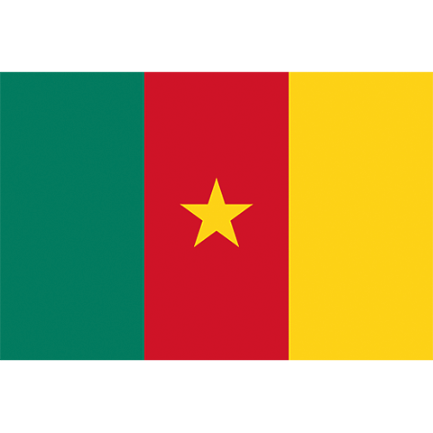 Nationsflagga Kamerun