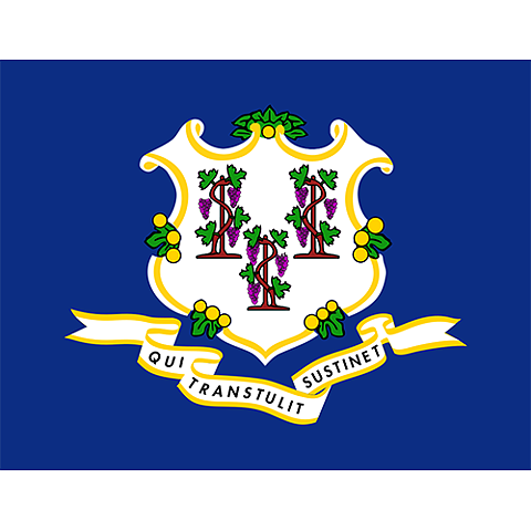 Flagga Connecticut