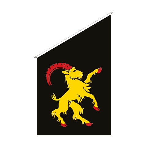 Fasadflagga Hälsingland - vapen
