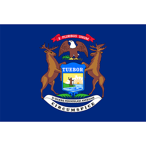Flagga Michigan