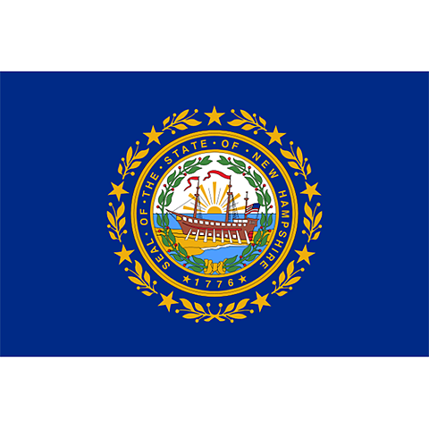 Flagga New Hampshire