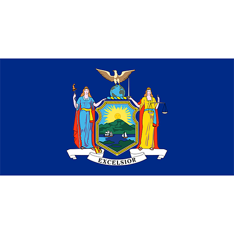 Flagga New York