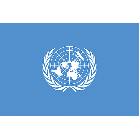 Flagga FN