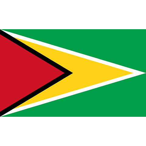 Nationsflagga Guyana