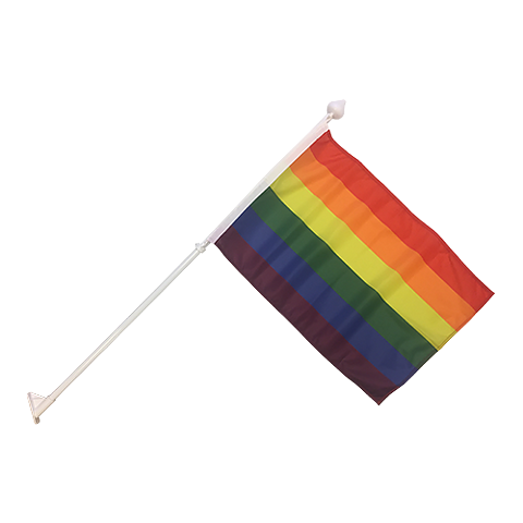 Fasadset Prideflagga 50 cm