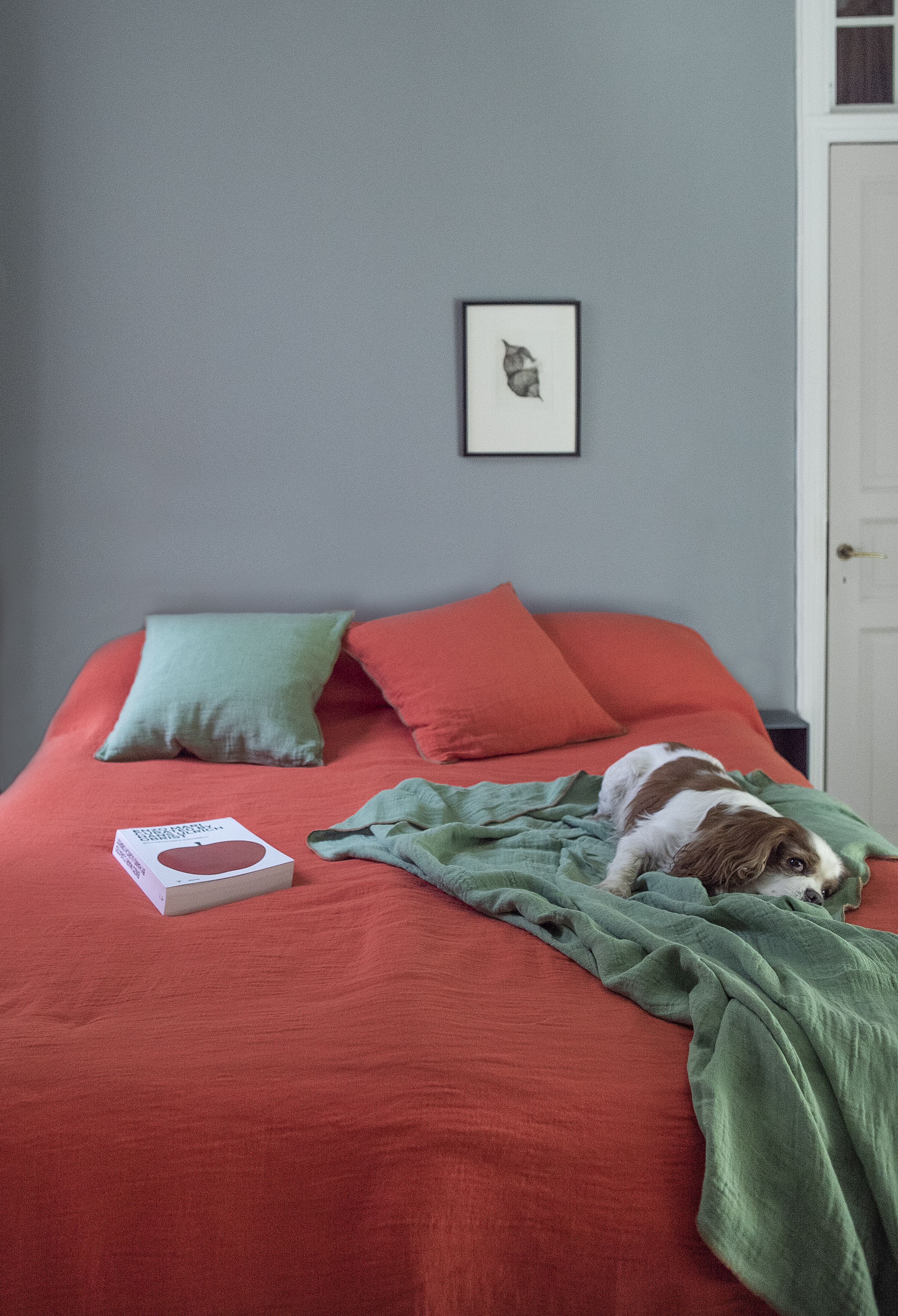 EVY Lemon Bedspread - 5