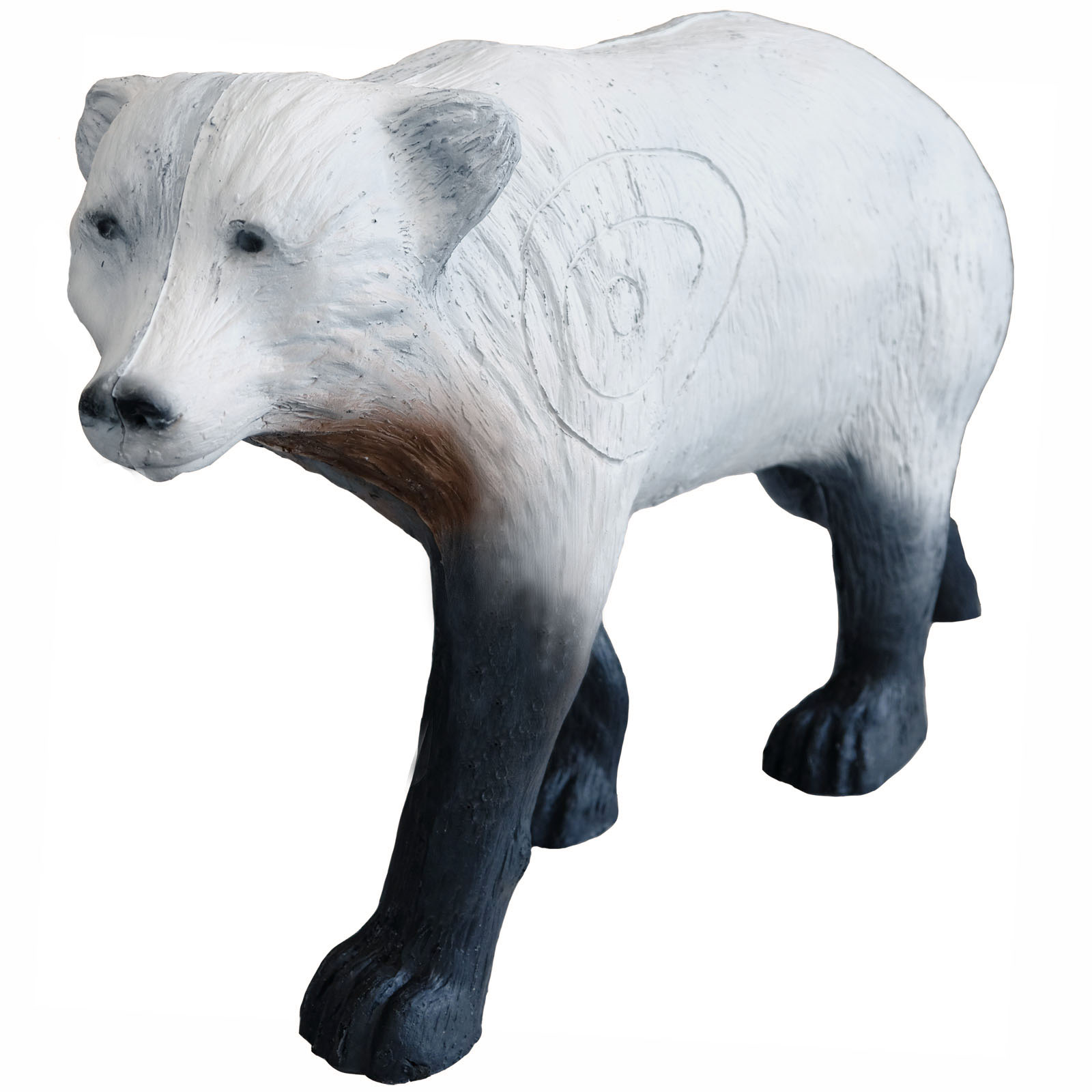 Björn mindre (Ursus) - 7
