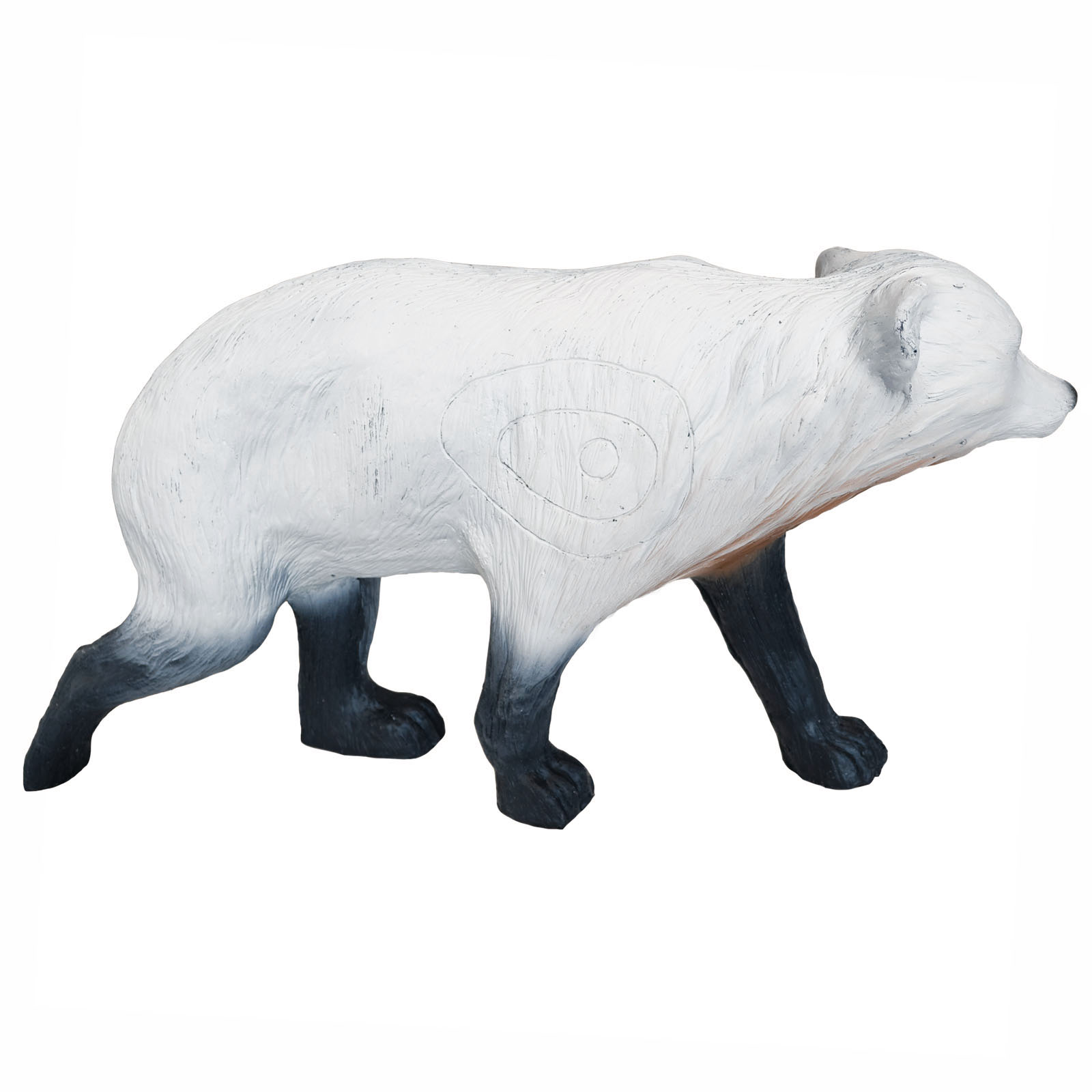 Björn mindre (Ursus) - 6