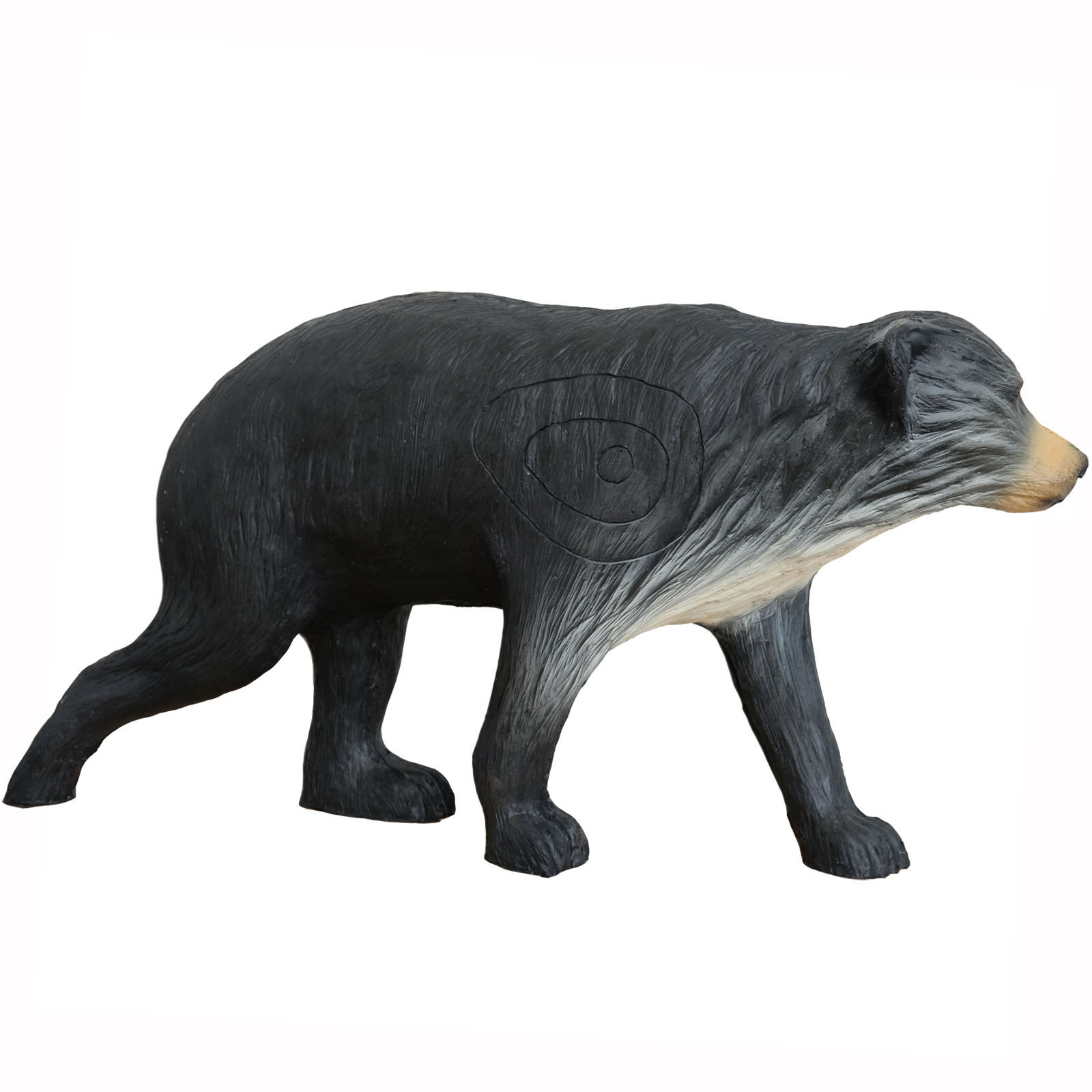 Björn mindre (Ursus) - 2