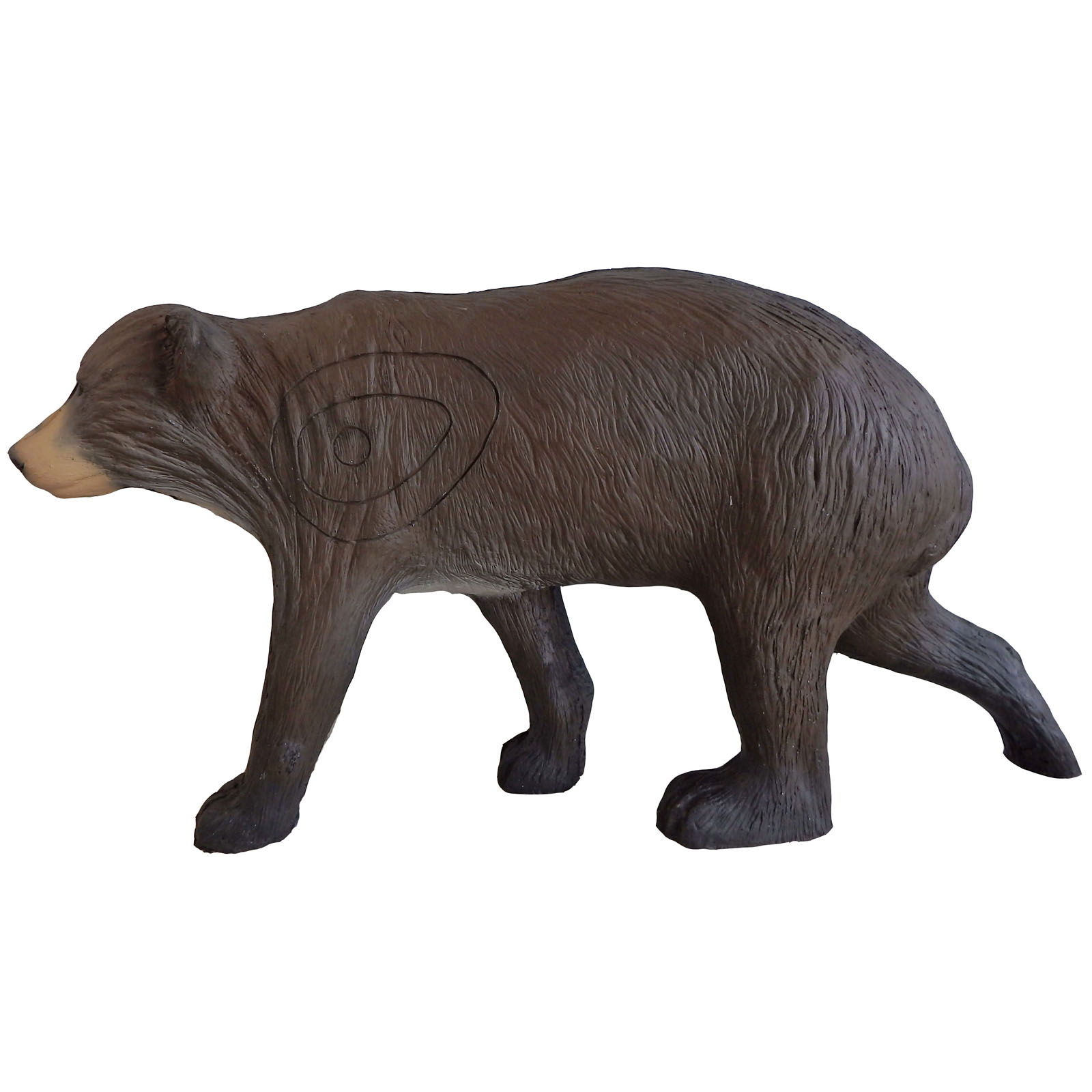 Björn mindre (Ursus) - 4