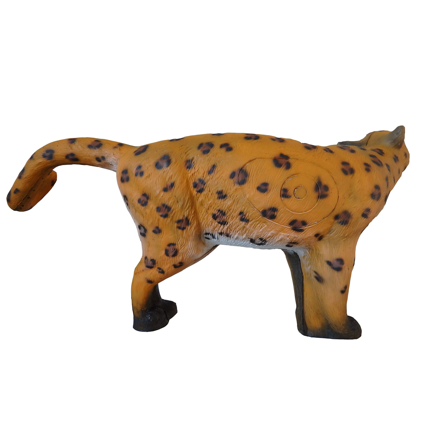Leopard (Panthera pardus) - 2