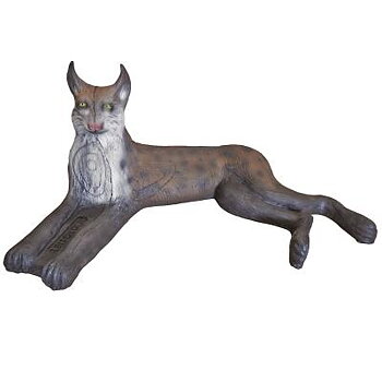 Lodjur liggande (Lynx lynx)