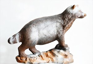 Mårdhund (Nyctereutes procyonoides)