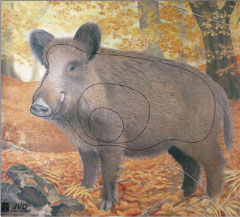 Vildsvin måltavla