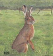 Hare måltavla