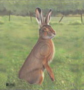 Hare måltavla