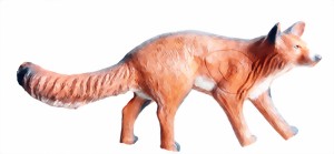 Räv (Vulpes vulpes)