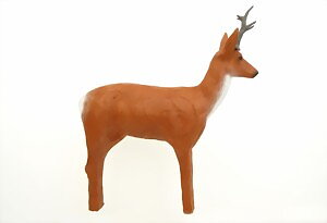 Råbock (Capreolus capreolus)