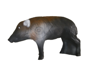 Vildsvin fjoling (Sus Scrofa)