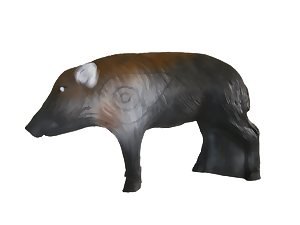 Vildsvin fjoling (Sus Scrofa)