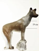 Varg på sten (Canis Lupus) - 2