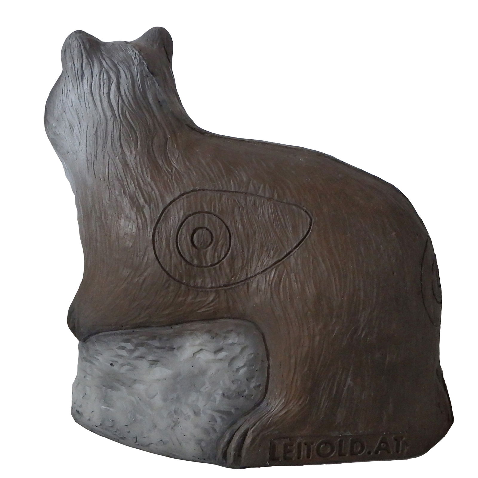 Tvättbjörn (Procyon lotor) - 2