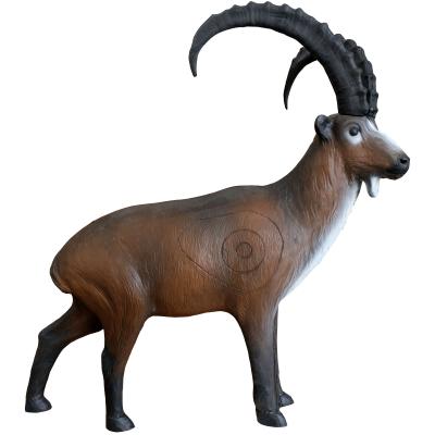 Stenbock  stående (Capra ibex) 