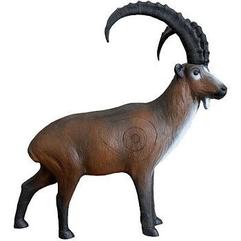 Stenbock  stående (Capra ibex) 