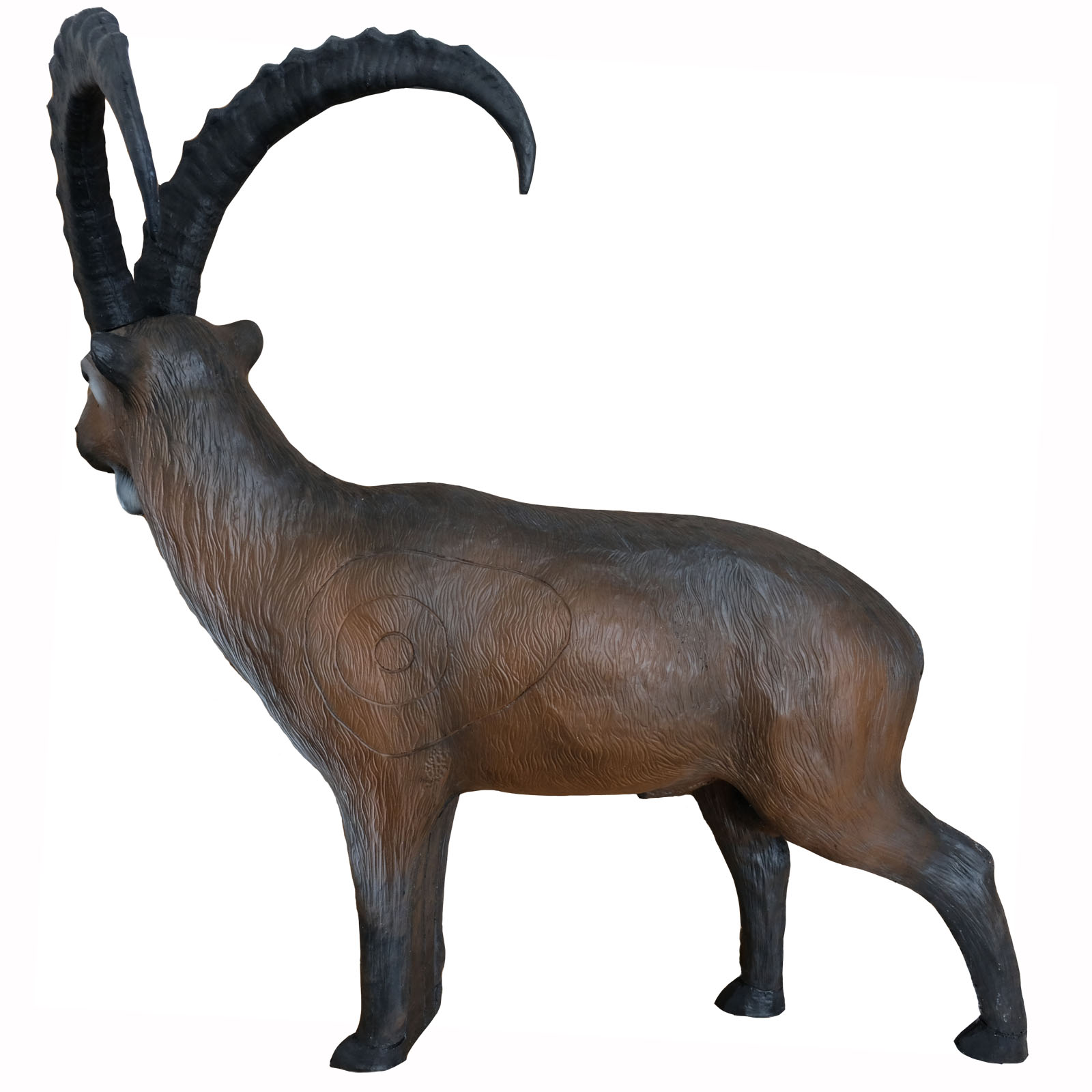 Stenbock  stående (Capra ibex)  - 2