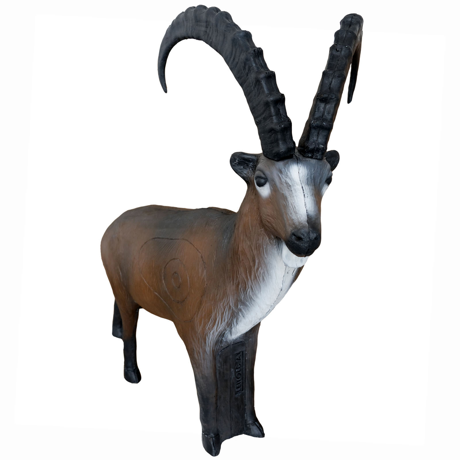 Stenbock  stående (Capra ibex)  - 3