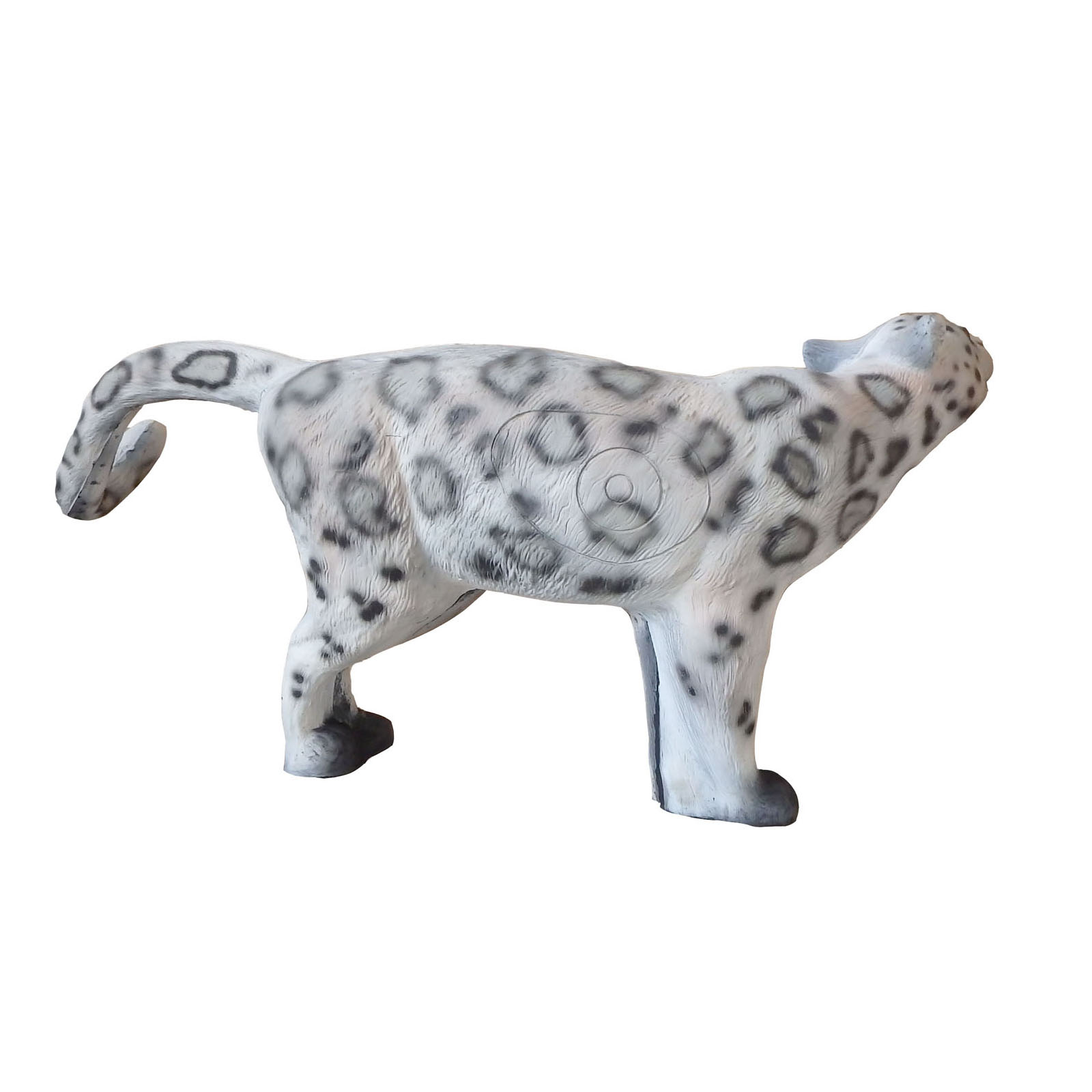 Snöleopard (Panthera uncia) - 2