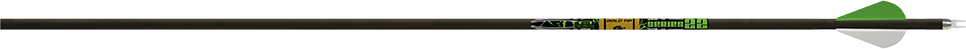 Skaft Gold Tip Series 22 