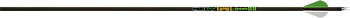 Skaft Gold Tip Series 22 