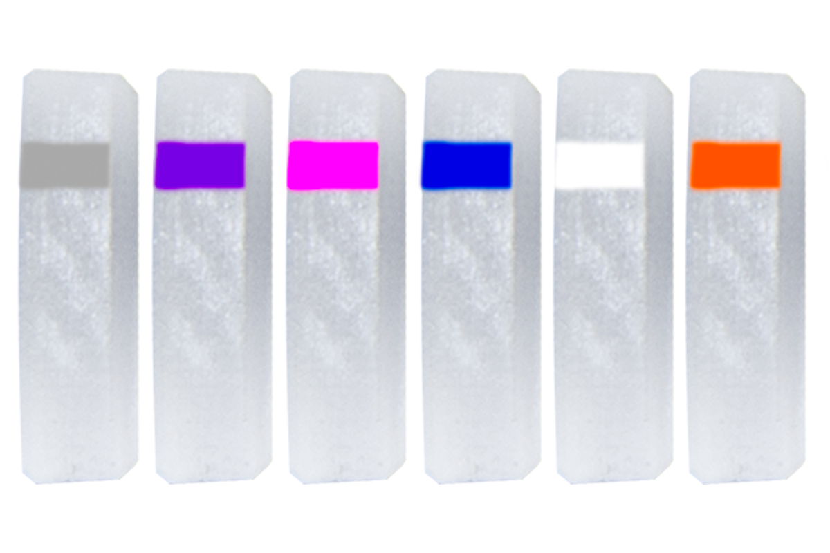 PXL Verifier - 2