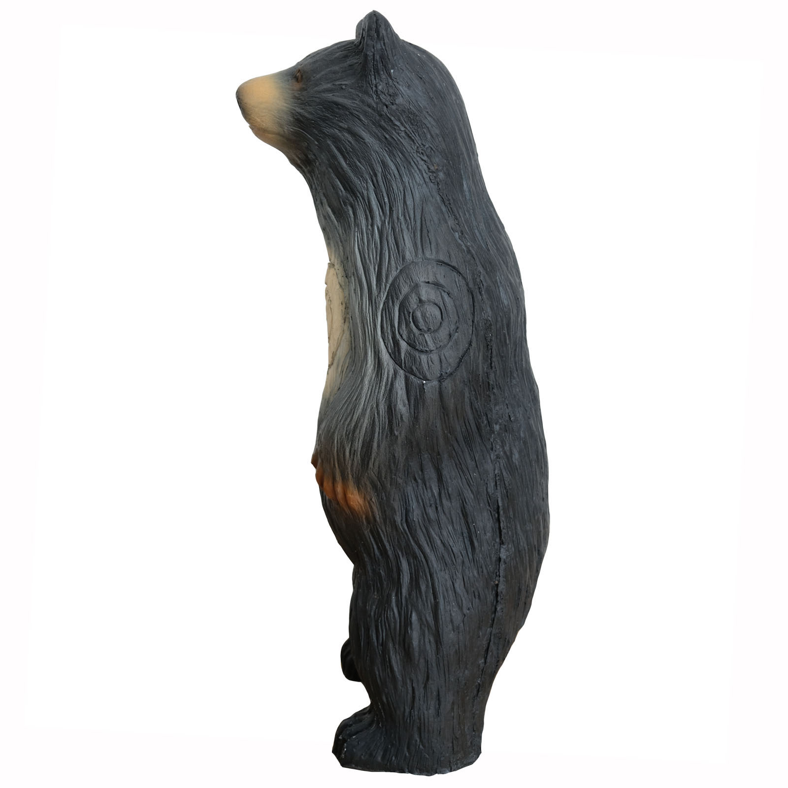 Björn stående liten (Ursus) - 3