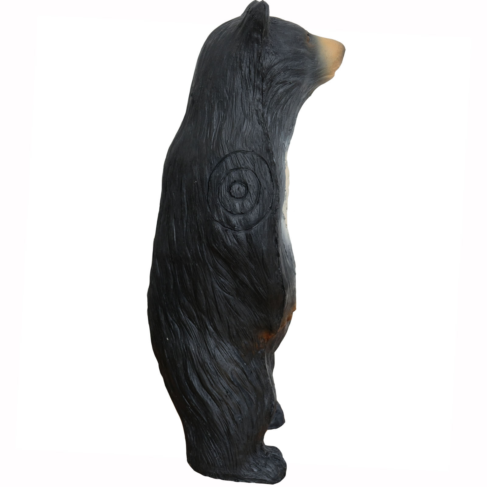 Björn stående liten (Ursus) - 2