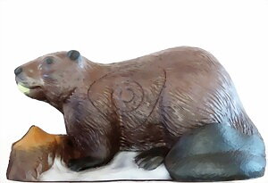 Bäver (Castor Fiber)