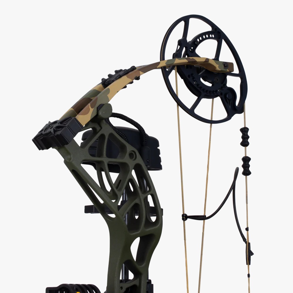 Bear Whitetail INT RTH  - 3