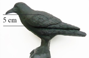 Svartkråka  (Corvus Corone)