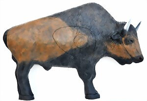 Bisonoxe  (Bison Bison)