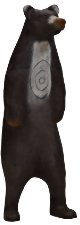 Björn stående  (Ursus xxxx )