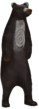Björn stående  (Ursus xxxx )