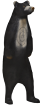 Björn stående  (Ursus xxxx ) - 3