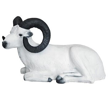 Snöfår liggande (Ovis dalli) 