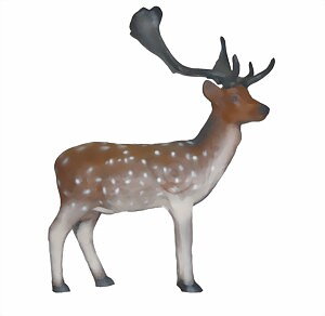 Dovhjort (Dama dama)